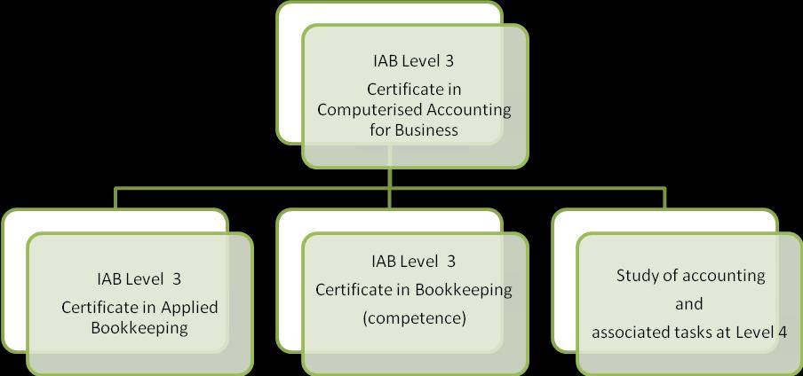 4 Target groups The IAB Level 3 Certificate in Computerised Accounting for Business is aimed at individuals who already have a good working knowledge of the software, and wish to further their