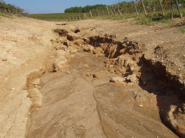Soil loss in vineyards at the
