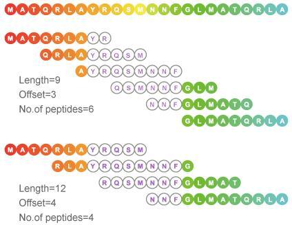 Option 1: Overlapping peptide library Why it is useful Ideal for linear (or continuous) epitopes Span the entire epitope sequences