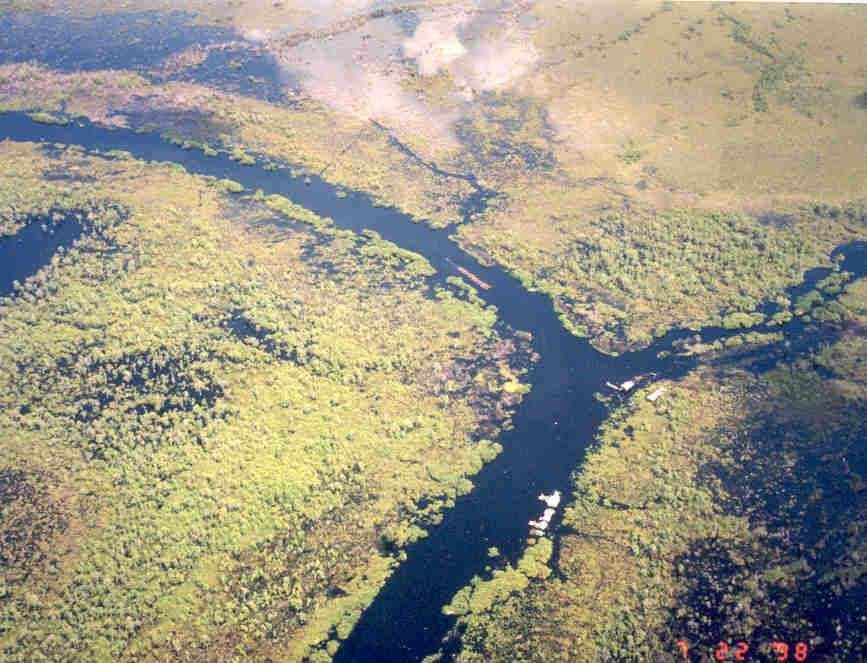 Tropical Peatlands large aerial extent - deep peat layers - high C content Tropical peatland carbon