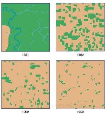 Over the years, as more and more people settled in an area of Wisconsin, depicted at left, wooded areas that served as habitats became more and more scarce.