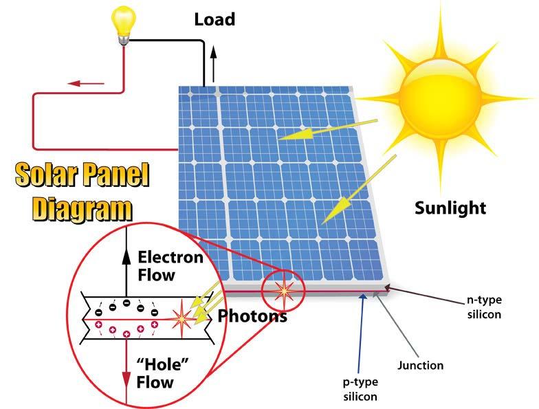 When sunlight hits the cells the photons cause the release electrons in the
