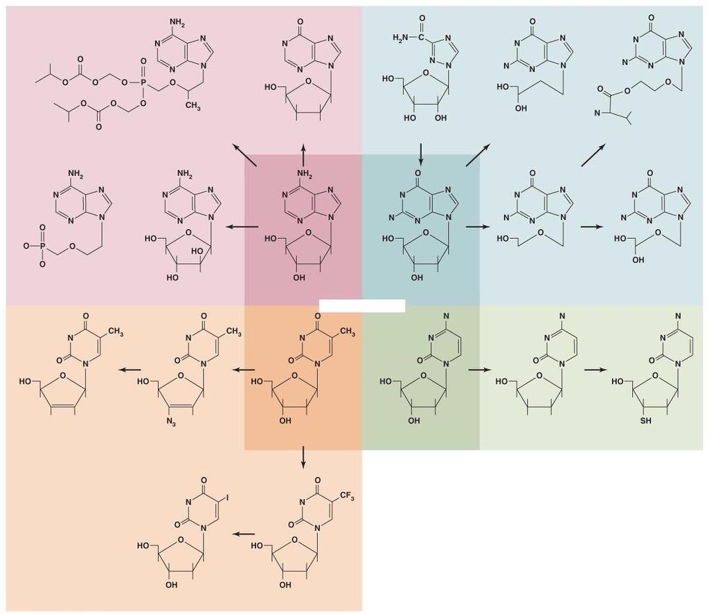 Figure 10.7 Nucleosides and some of their antimicrobial analogs.