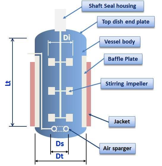 Basic Structure of Fermenter Dt: Tank Diameter Di: Impeller Diameter Ds: Sparger Diameter