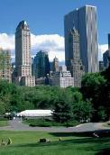 THE SOURCES OF MARKET FAILURE A classic example of a public good is a park such as Central Park in Manhattan producing collective benefits for New Yorkers and tourists.