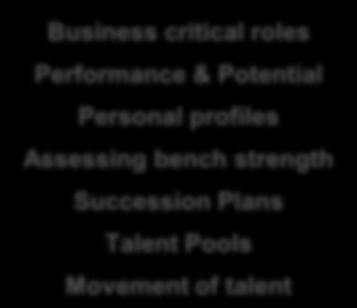 Performance Management Talent Reviews Personal Development Objectives Competencies
