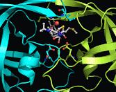 Biomolecular profiling DrugDiscovery New approach to computational drug discovery Computational drug discovery so far in silico drug discovery Ligand Drug (inside
