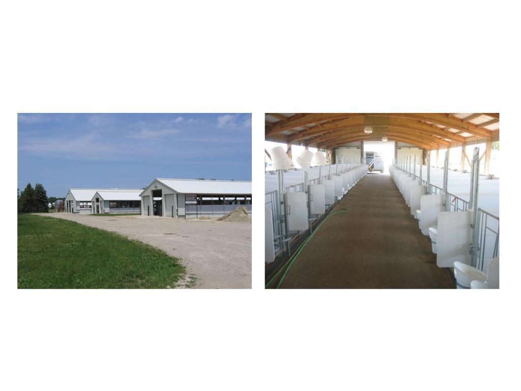 Calf and Heifer Research and Extension Facility Two 30 ft x 200 ft calf