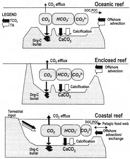 ,,, 100 CORAL REEFS AND SEAWATER CARBONATE CHEMISTRY These observational gaps exist for a good reason.