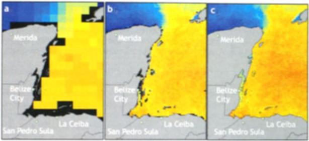 SELIG ET L 113 b Temp o C 28 24 No data Plale I. An example of the benefits of increasing re olul on on the ucatan i eninsul and Caribbean Sea from: lab.