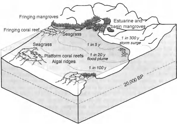 6 TROPICAL COASTAL ECOSYSTEMS AND CLIMATE CHANGE PREDICTION A F. vs " - ringing mangro e ".".' " ', EstuarJne an //' _r 4.._.. ' ;" ba mangrove Fringing coral reef.