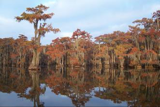 Lake Profile: Caddo Lake, TX Project Type Flow Restoration Transaction Project supports voluntary transactions to change, reduce or stop water use (temporarily or permanently) to protect water for