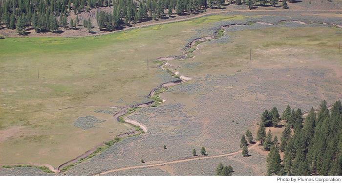 Meadow Profile: Upper Dotta Meadow, CA Project Type Restoration of Natural Hydrology Project restores natural hydrologic conditions to facilitate improved capture and infiltration of surface water