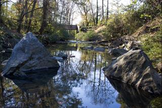 Urban Profile: Proctor Creek-Boone Park W, GA Project Type Pollution Reduction and Infiltration Project utilizes best management practices to filter and/or reduce pollution inputs into rivers,