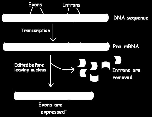 RNA s require EDITING