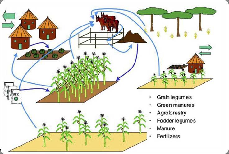 Complex heterogeneity within farming systems Sources of organic