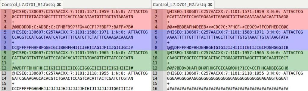 FASTQ Files from Paired-end Sequencing Source: https://bioinf-galaxian.erasmusmc.