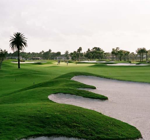 The Golf Course Irrigation Alternative involves tertiary wastewater treatment Land application of reclaimed water under FAC 62-610.