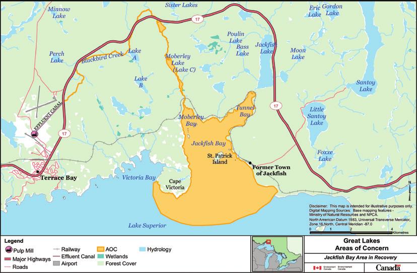 In the past, the bay supported small commercial Lake Trout and Whitefish fisheries. A local pulp mill is the largest industry and major employer in the area.