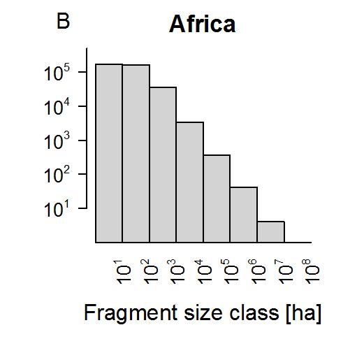 100 m of forest edges fragment size distribution follows a power law at all