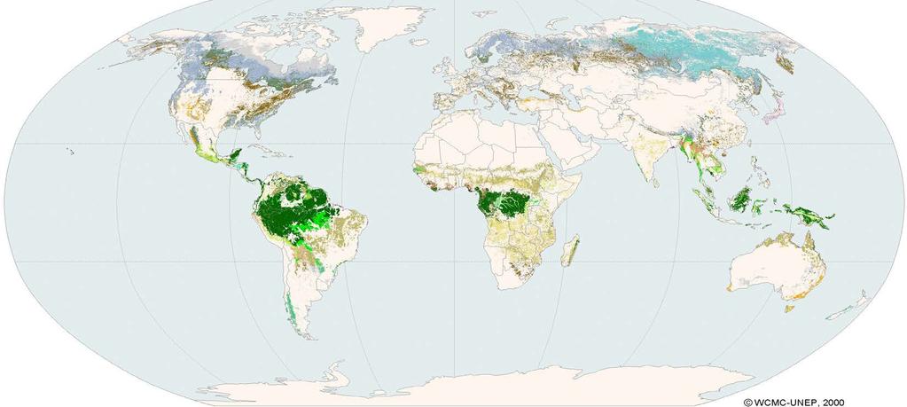 Forests of the world forests cover 30 % of the terrestrial surface (0.