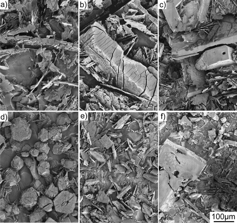 Morphology of Intermetallic Compounds in Al-Si-Fe Alloy and Its Control by Ultrasonic Vibration 2473 Fig. 10 SEM observation of the specimen etched in 40 mass%naoh solution for 3.6 ks.