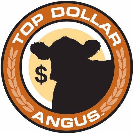 Top Dollar Angus: Premium prices paid for genetically certified, Angus