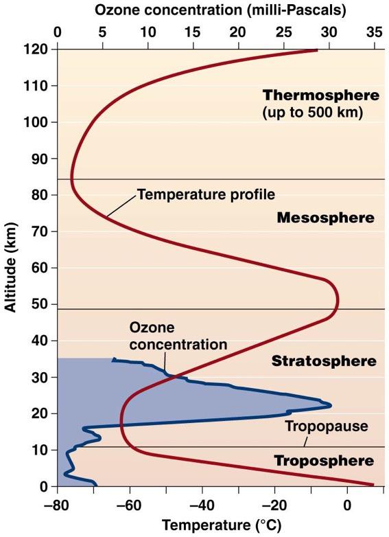The atmosphere is layered (cont d) Stratosphere 11 50 km (7 31 mi) above sea level Drier and less dense, with little vertical mixing