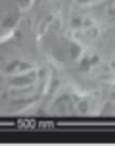 Solar celll fabricated with TiO2 nanotube and sensitized with dye showed an open