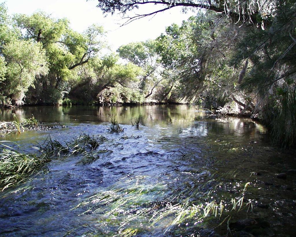 Gila River in Phoenix (AZ) Upstream Flow