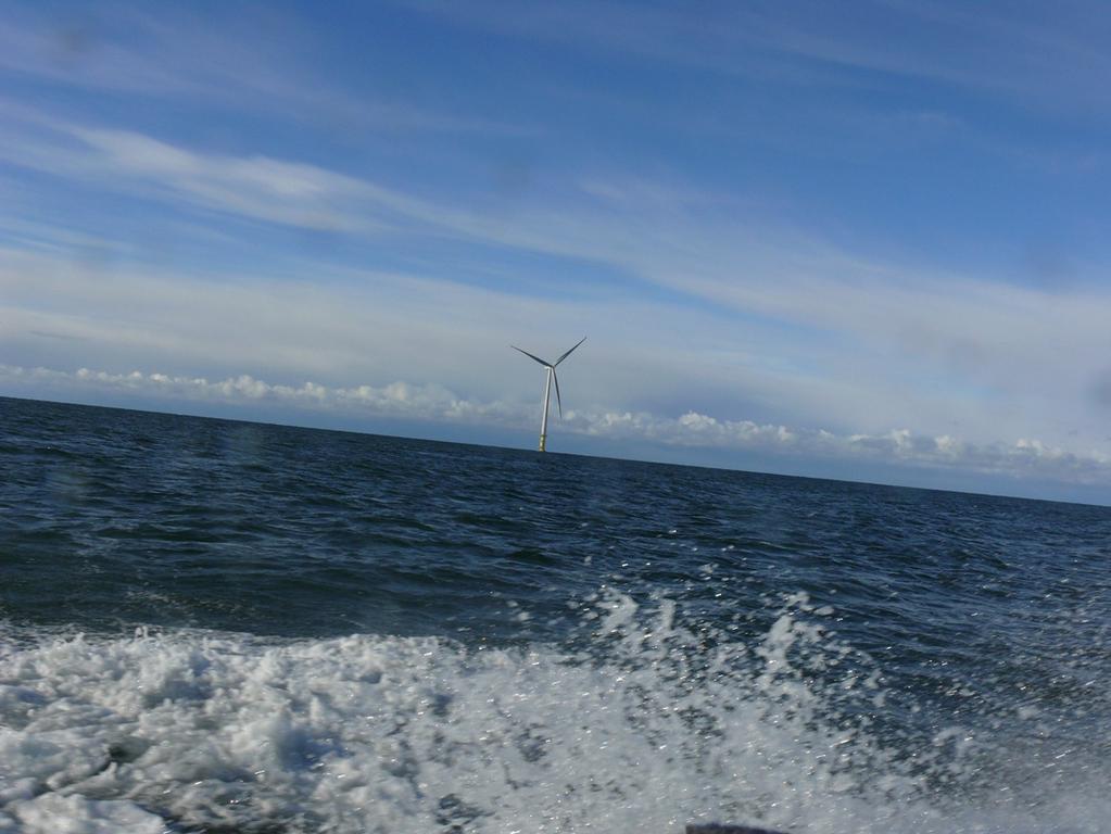 SIWFs should be placed between 5 10 km from shore forthcoming Estonian regional MSPs must allow turbines return closer to shore SIWT should be in nearlandfast area where the interturbine artificial