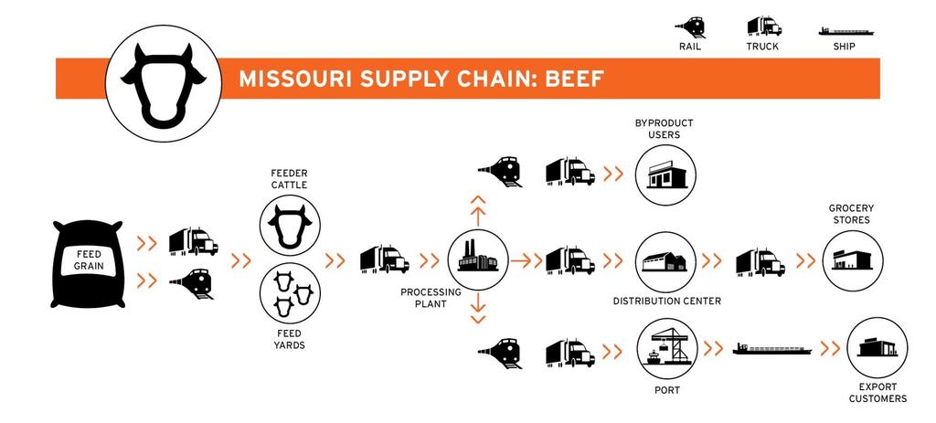 Figure 1-1: Missouri Beef Supply Chain Many products Missourians buy are created and delivered through these complex supply chains and each step uses the freight transportation network to deliver