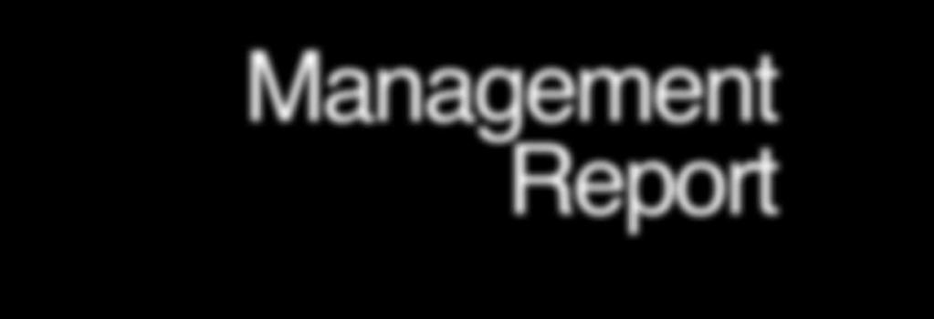 Management Report 2010-2013