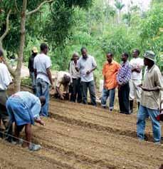 IICA has partnered with other international organizations on different initiatives aimed at improving food security, such as the Zero Hunger Challenge, in Antigua; the National Crusade Against