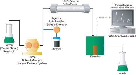 High Performance Liquid Chromatography HPLC: Mass transfer involving