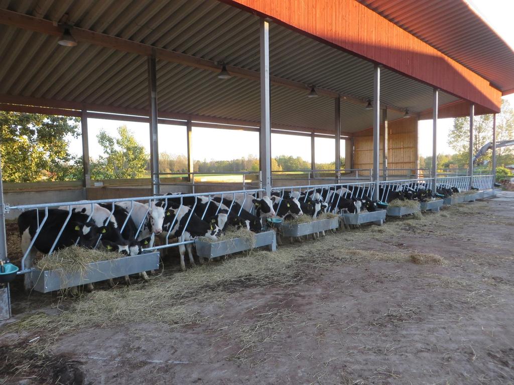 Calf barn 50 calves, 35 000 Euro Used concrete blocks and posts from old silo Non-insulated