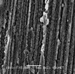 In the SEM micrographs, which are obtained after the passivated copper surface was coated with PPy, it