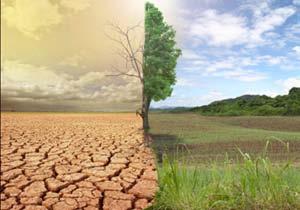 Trend in Climate Change Climate Change Direct consequences Implications for farming AgriGO's solution 1) Temperature increase 2) Change in rainfall patterns Rising temperature implicates higher