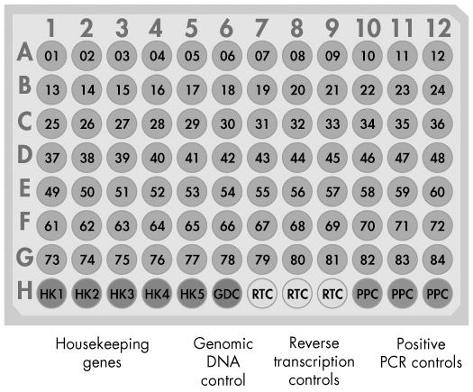 nontranscribed genomic DNA contamination with a high level of sensitivity.