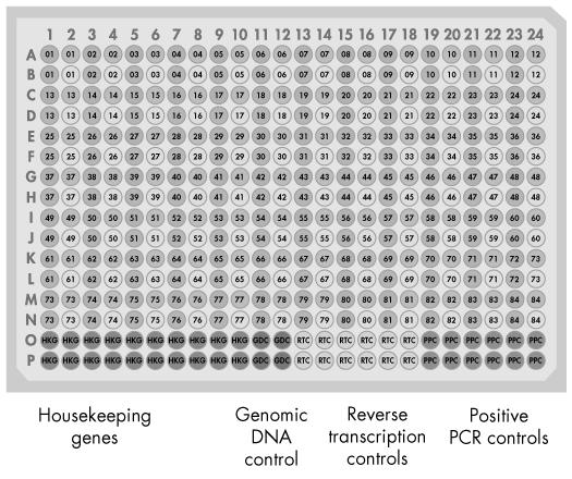 Figure 2. RT 2 Profiler PCR Array Formats E, G 384 (4 x 96) option layout.