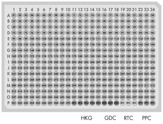 RT 2 Profiler PCR Array Formats E, G 384 HT option layout. Wells A1 to P10 (1 370) each contain a real-time PCR assay for a pathway/disease/ functionally related gene.