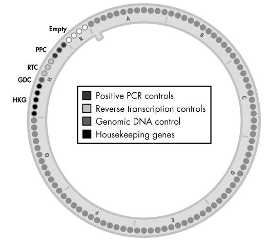 Figure 4. RT 2 Profiler PCR Array Format R layout. Wells 1 to 84 each contain a real-time PCR assay for a pathway/disease/functionally related gene.