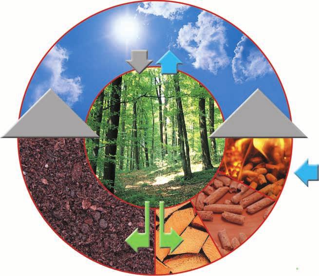 The CO2 released in this process is equal to the CO2 absorbed during the trees growth. In addition, localised production of wood pellets dramatically reduces transport related emissions.