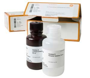 Recommended for detection of proteins with low expression levels. Amersham ECL: The original ECL Western blotting detection reagent.