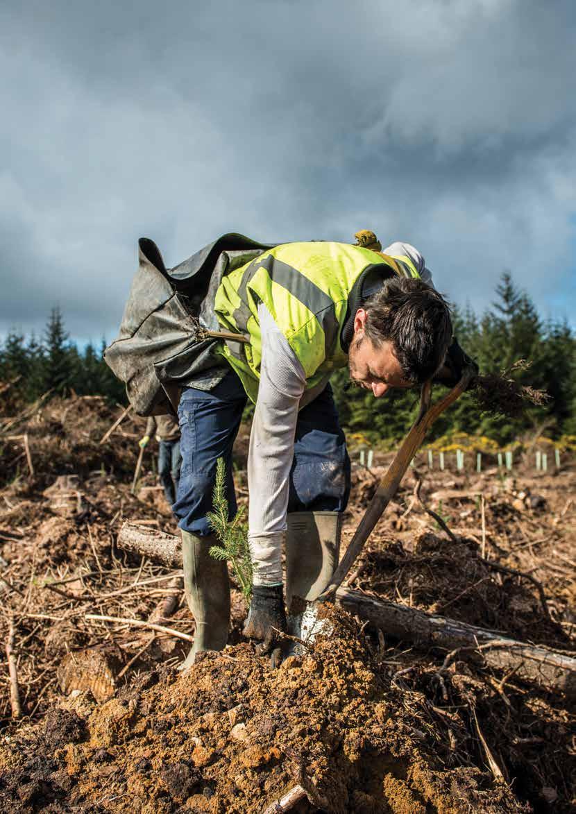 The future is EGGER Forestry For several years now we have believed there has been a need for new thinking in forestry and a fresh approach required to the entire supply chain.