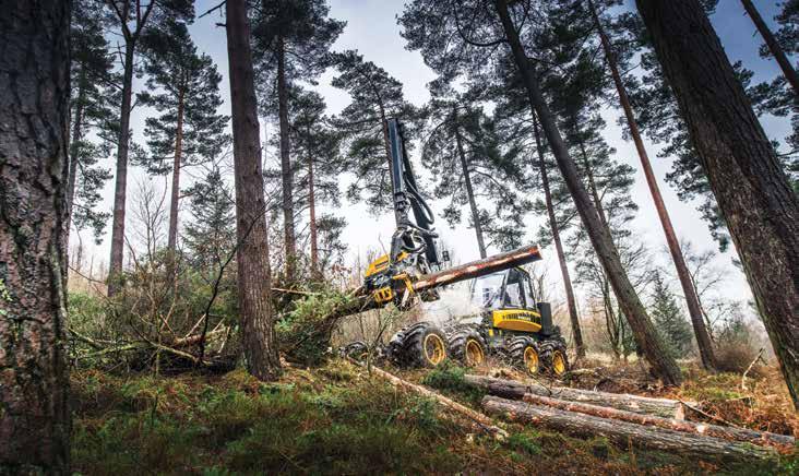Our timber harvesting and marketing services include: all sizes and types of felling operations including thinning and clear-fells motor-manual and fully mechanised activities difficult site
