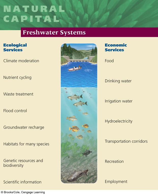 Freshwater Ecosystems 2.