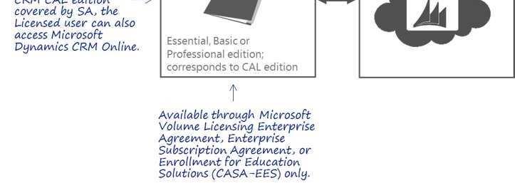 An additional USL for SA License Agreement that provides rights to the Microsoft Dynamics CRM Online service.