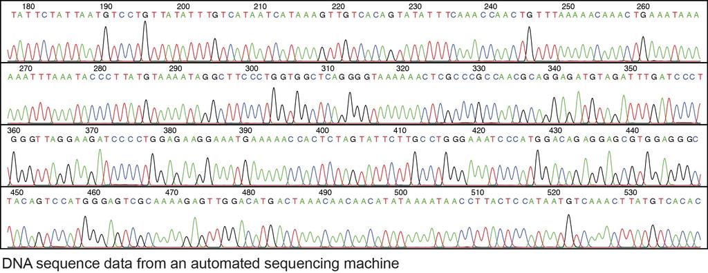 Automated Sanger Sequencing http://www.genome.gov/dmd/img.