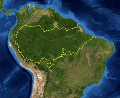 Neotropical Realm The Amazon Rainforest +50 % of the world s rainforests lie in the Neotropical